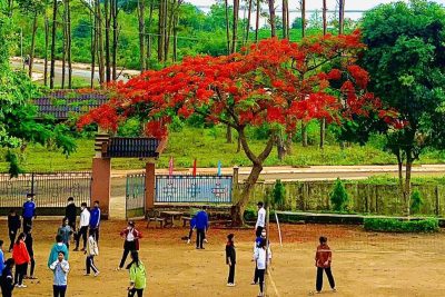 Hoạt động ngoài giờ lên lớp ở trường THCS